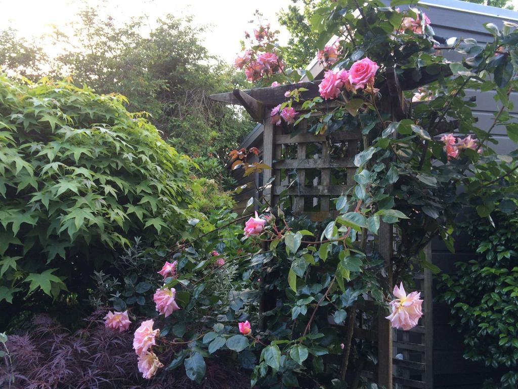 Firth Street Mews B&B Matamata Bagian luar foto