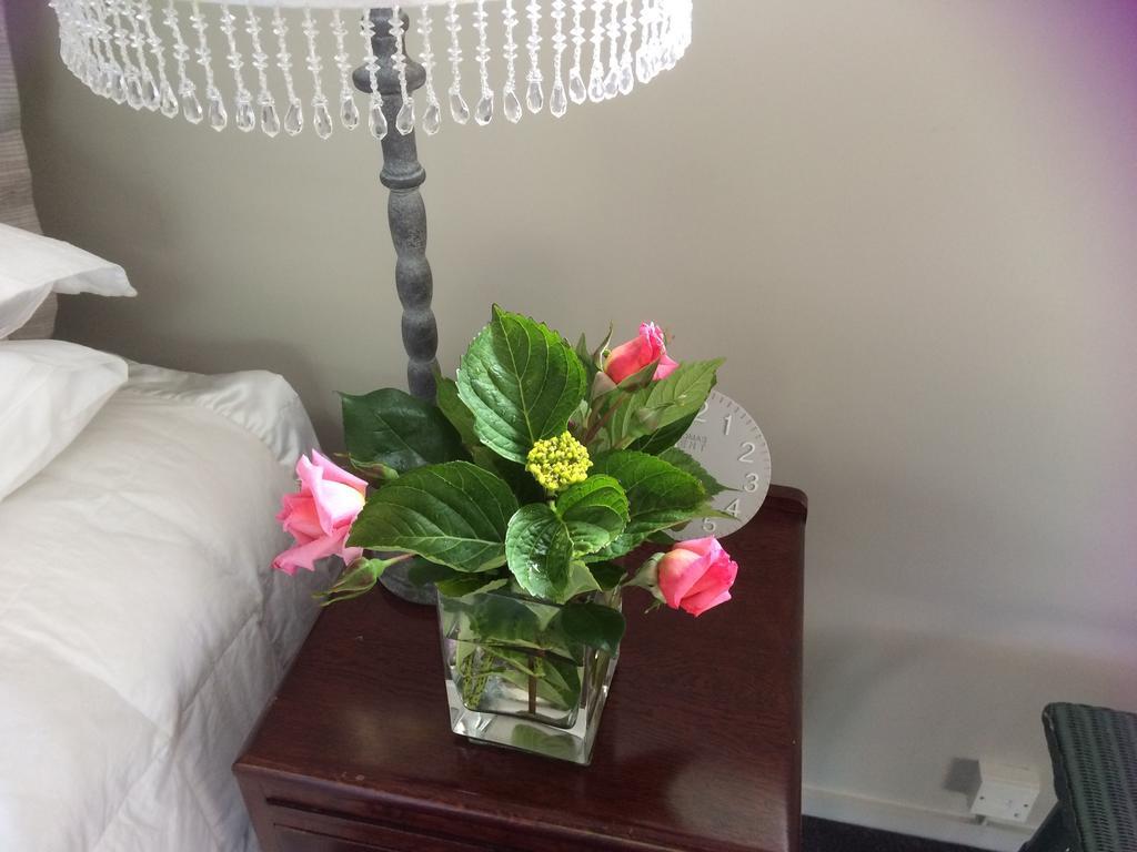 Firth Street Mews B&B Matamata Bagian luar foto